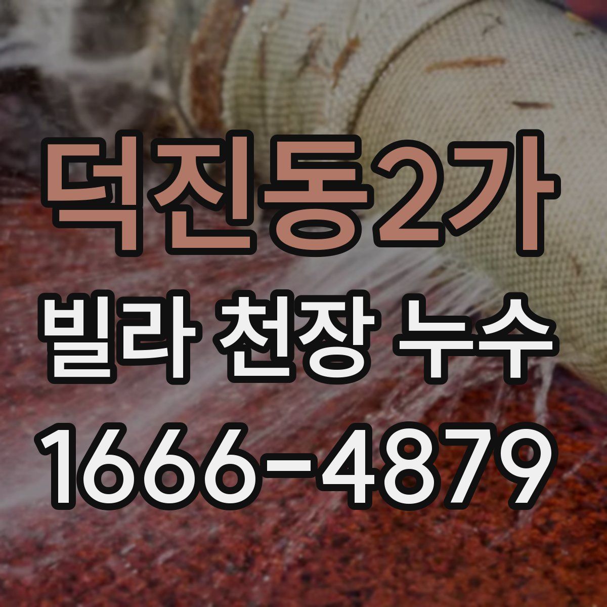 덕진동2가 빌라 천장 누수