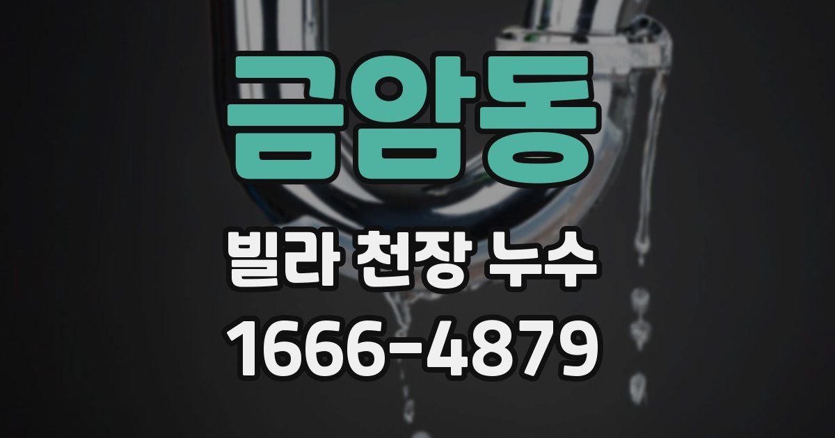 금암동 빌라 천장 누수