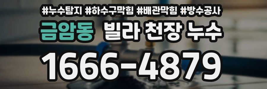 금암동 빌라 천장 누수