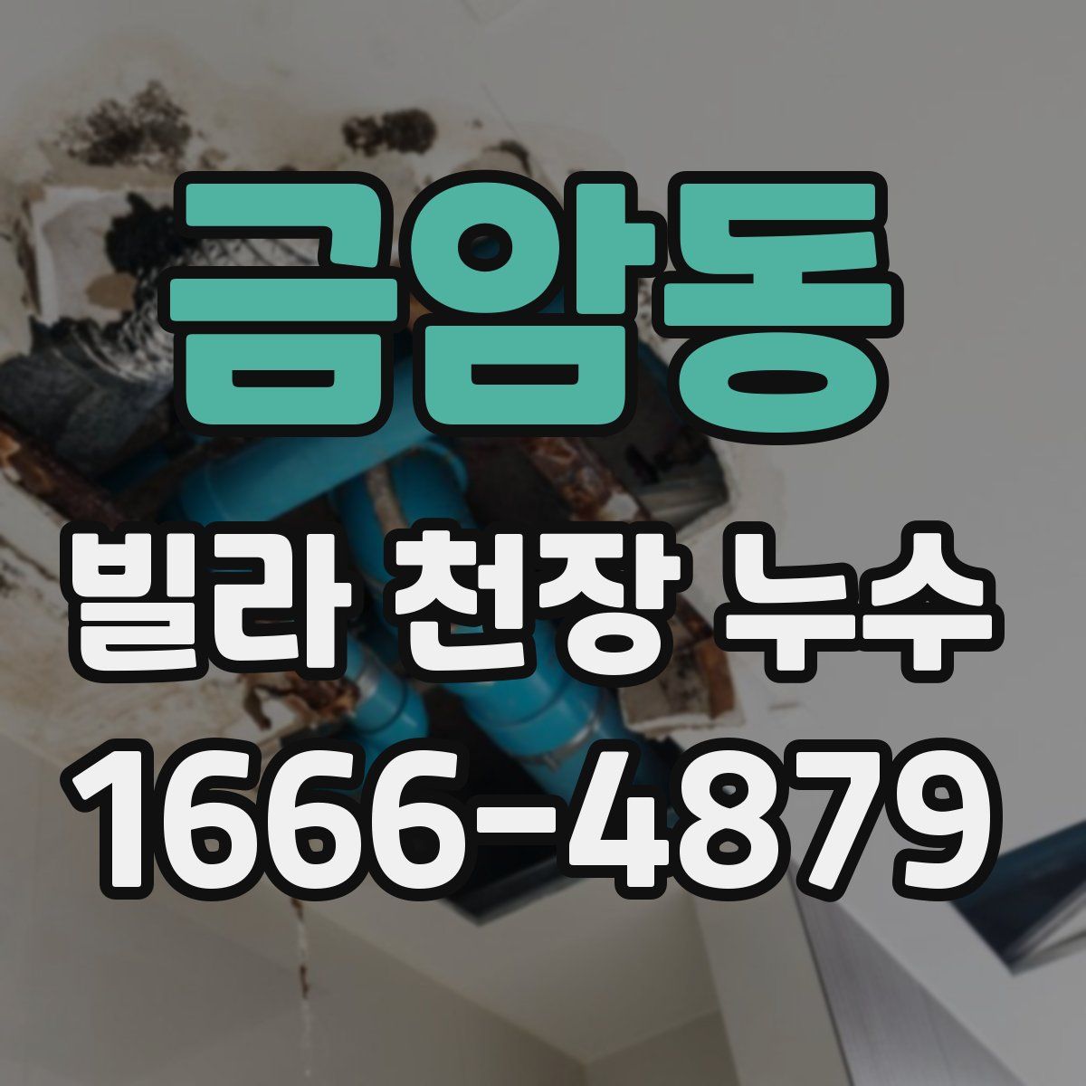 금암동 빌라 천장 누수