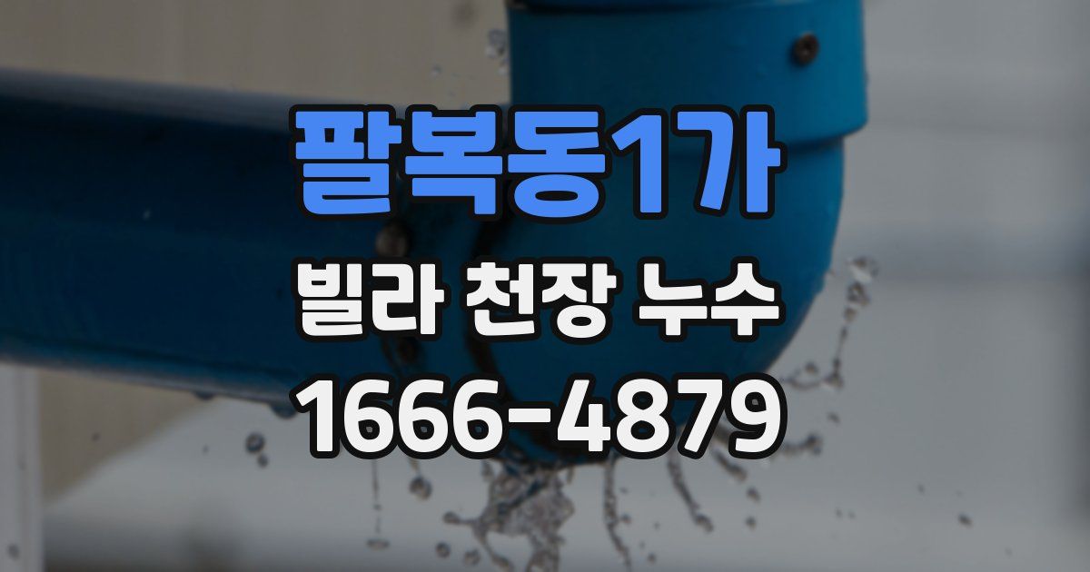 팔복동1가 빌라 천장 누수