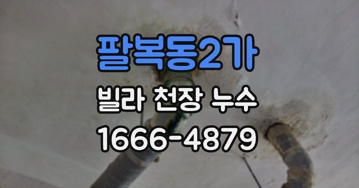 팔복동2가 빌라 천장 누수