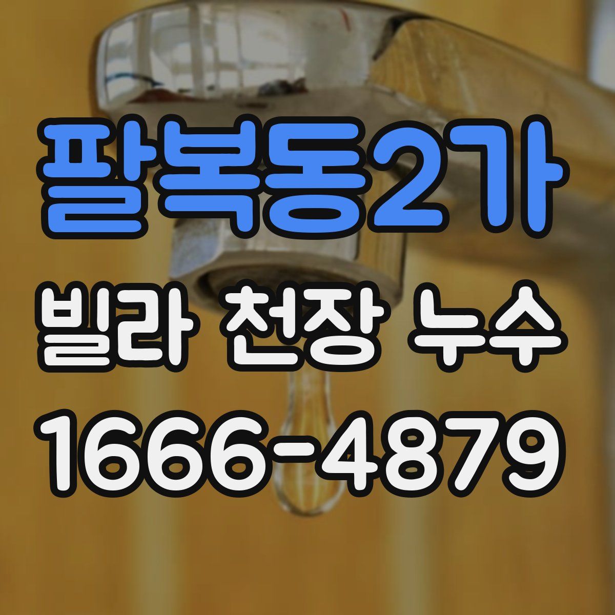 팔복동2가 빌라 천장 누수