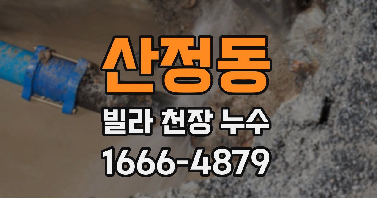 산정동 빌라 천장 누수