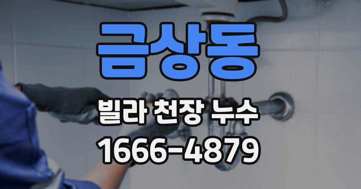 금상동 빌라 천장 누수
