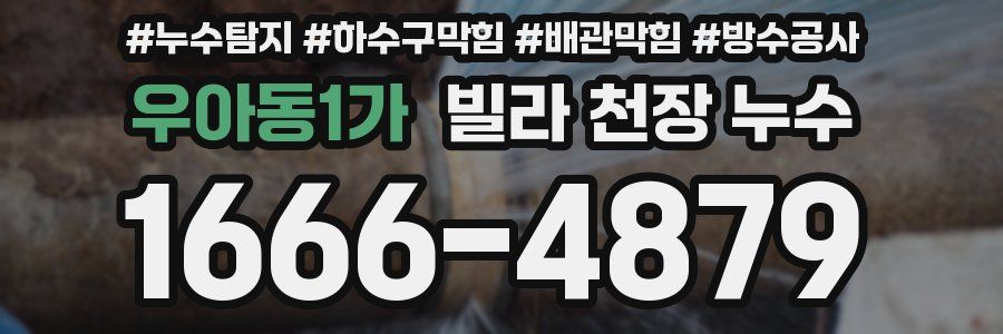 우아동1가 빌라 천장 누수