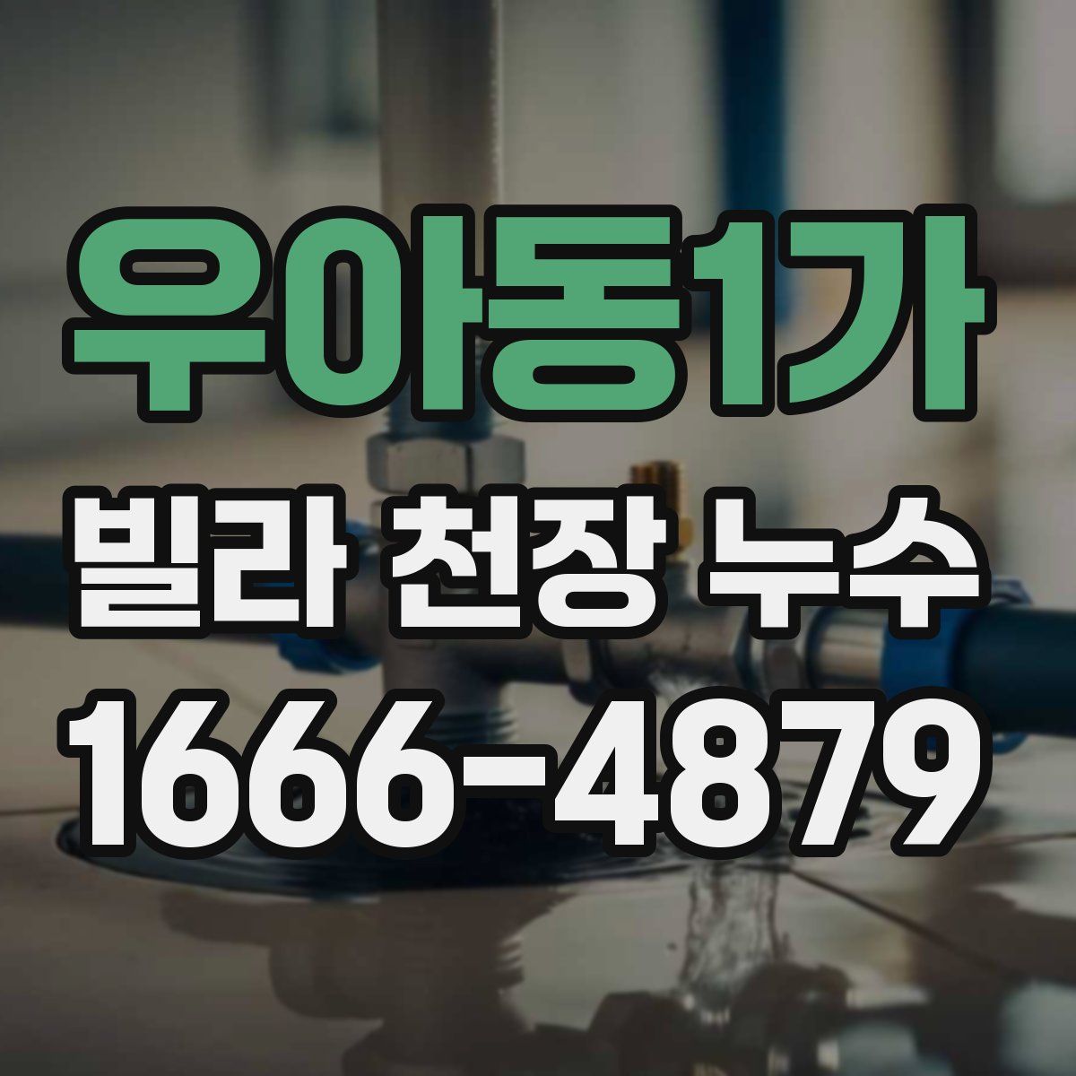 우아동1가 빌라 천장 누수
