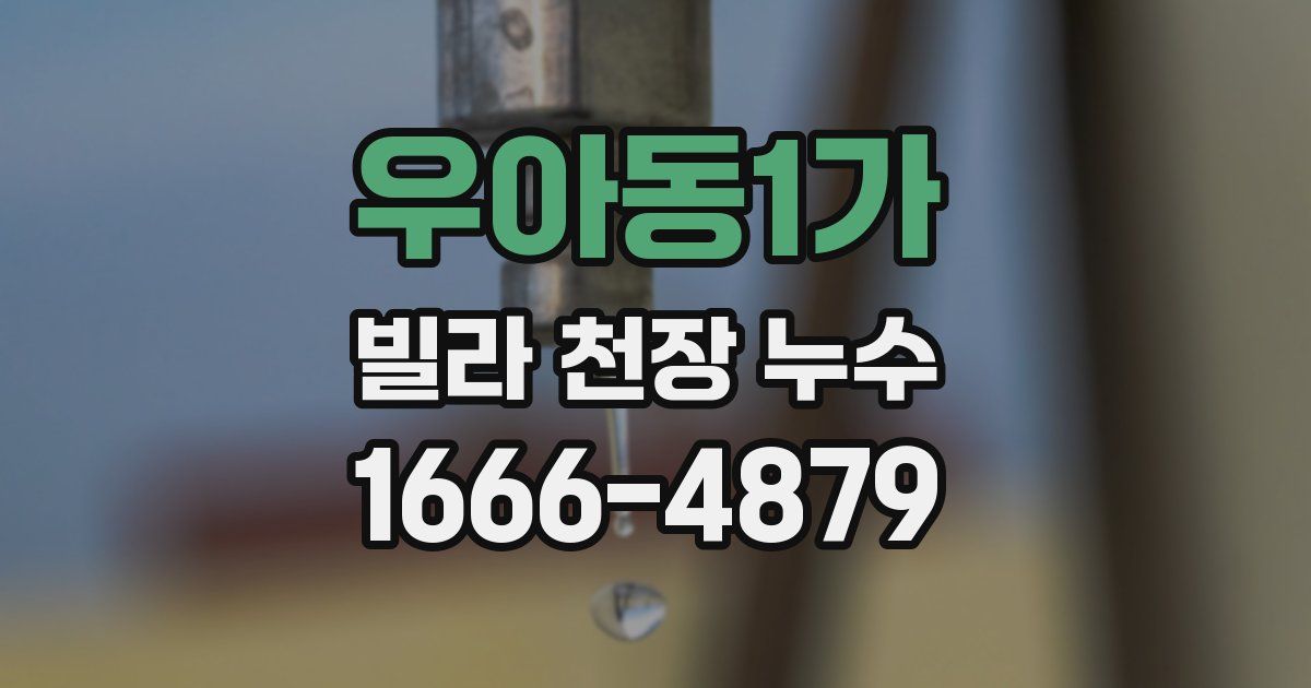 우아동1가 빌라 천장 누수