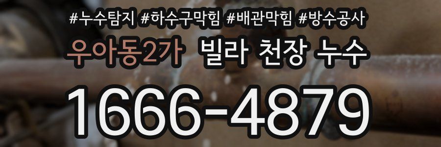 우아동2가 빌라 천장 누수