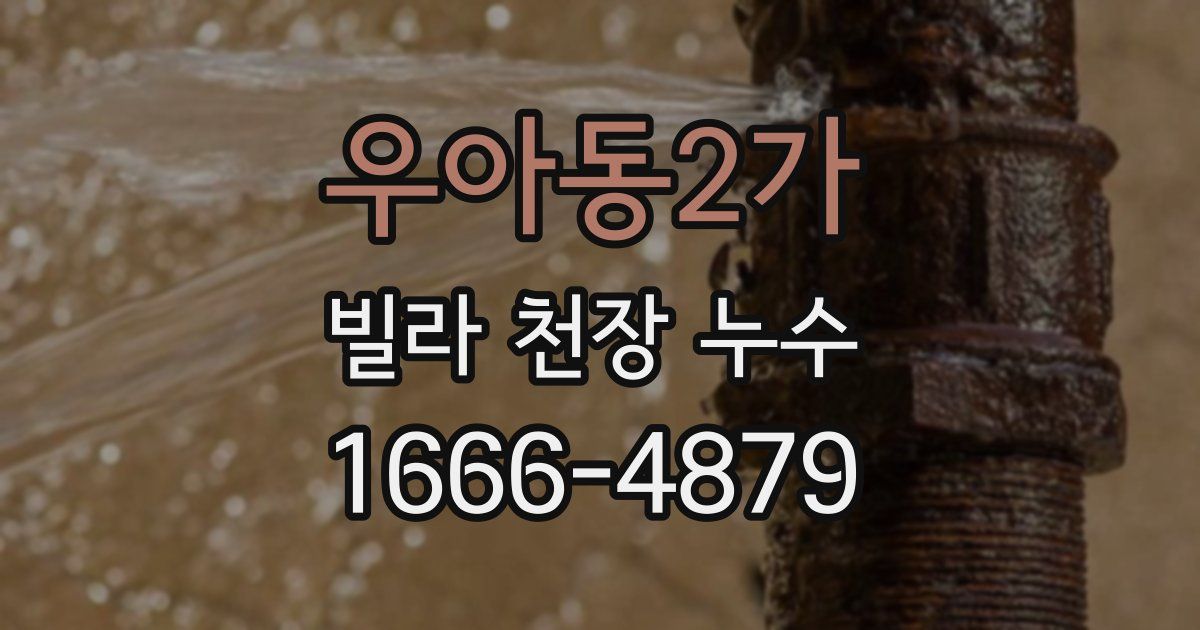 우아동2가 빌라 천장 누수