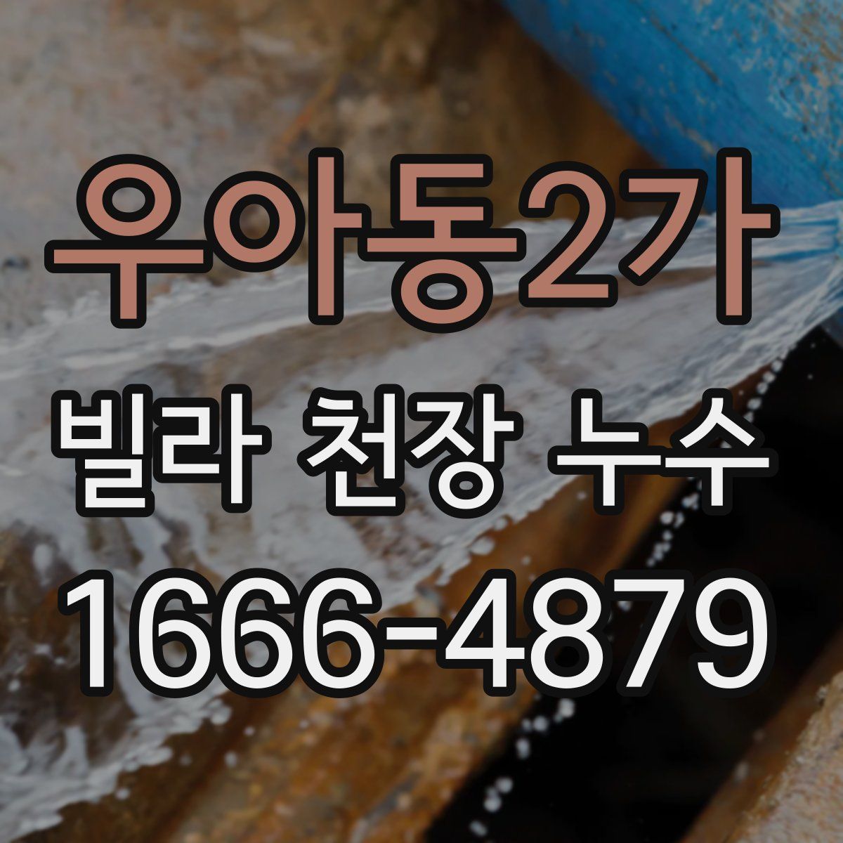 우아동2가 빌라 천장 누수
