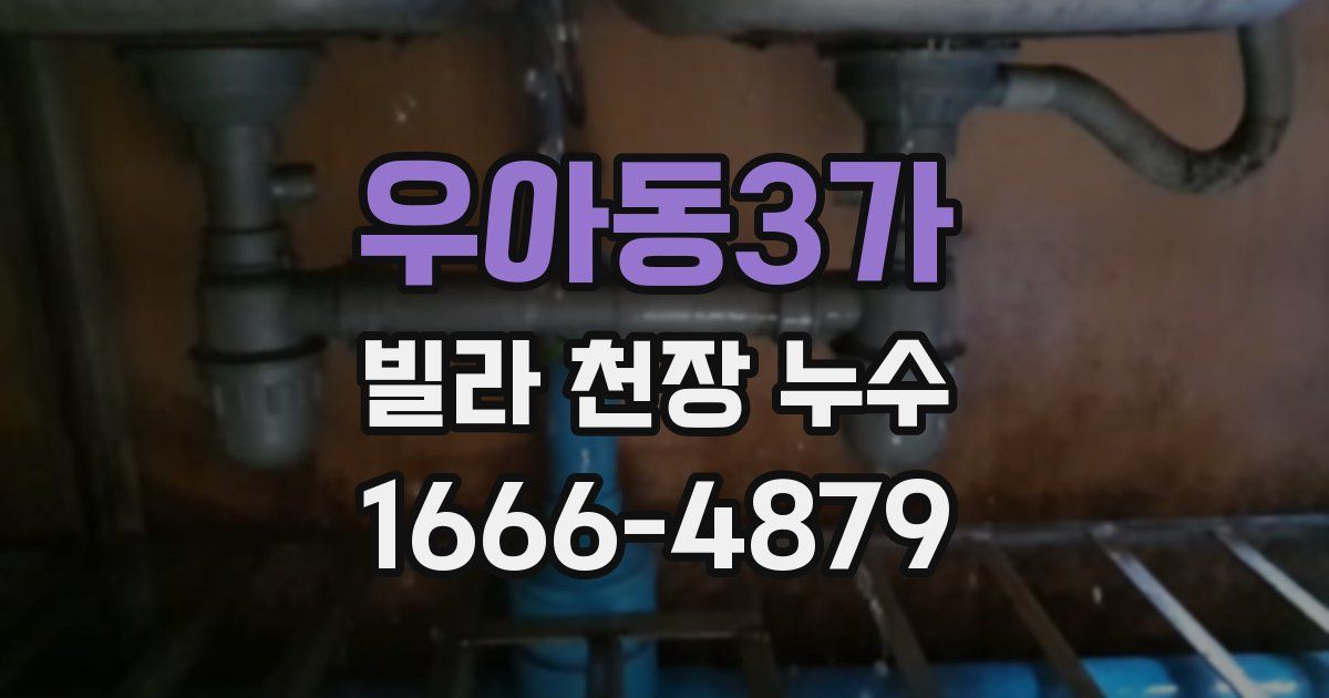 우아동3가 빌라 천장 누수