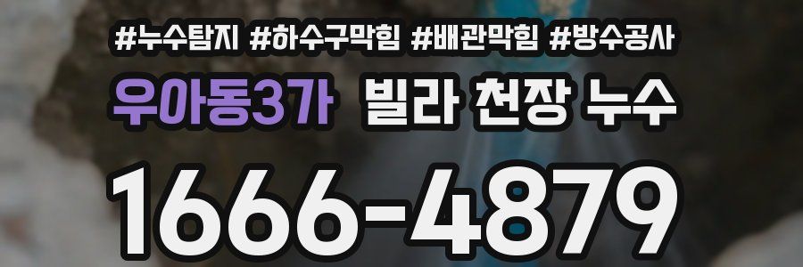 우아동3가 빌라 천장 누수