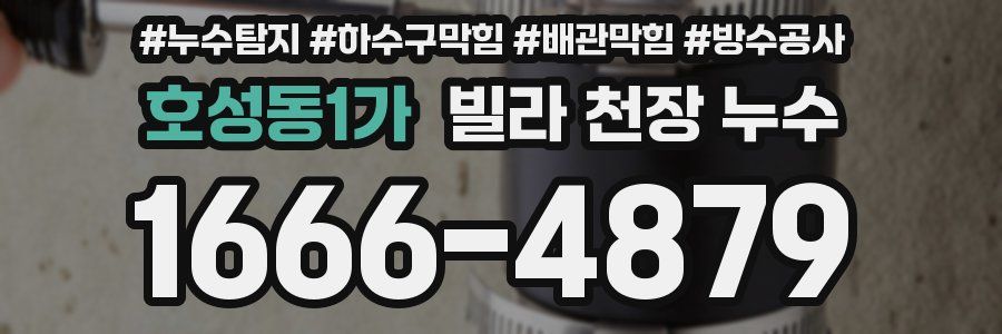 호성동1가 빌라 천장 누수