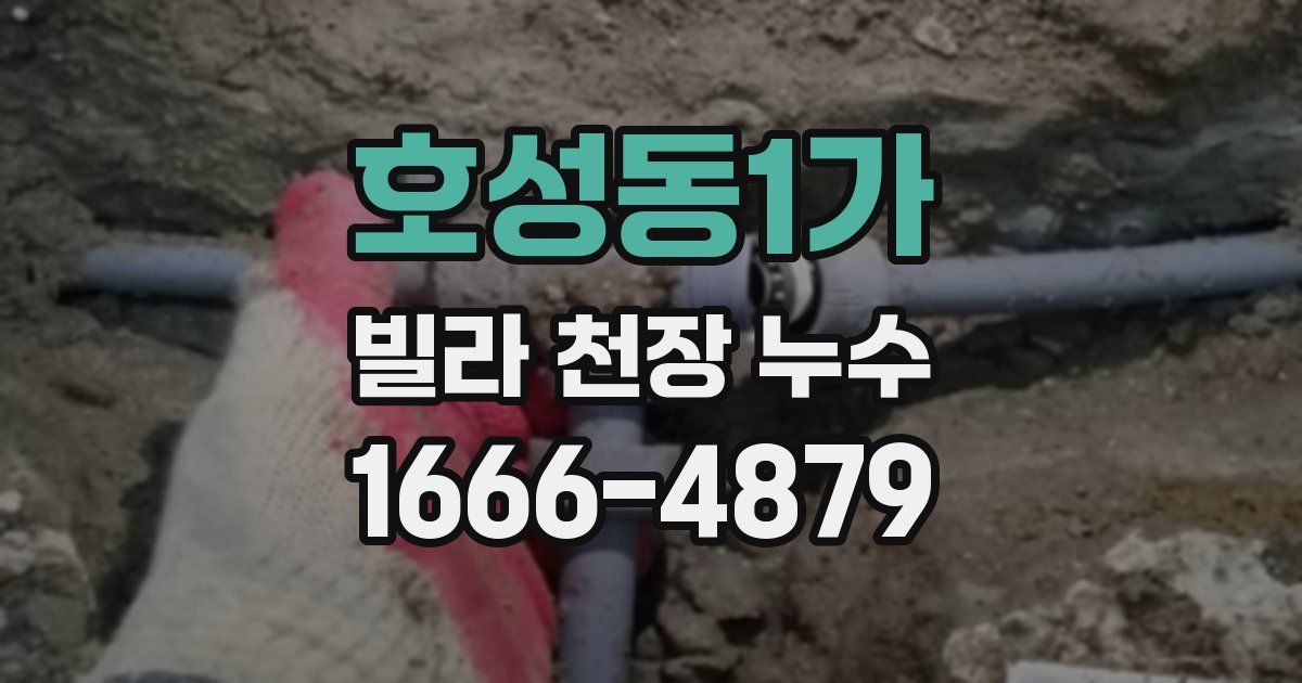 호성동1가 빌라 천장 누수