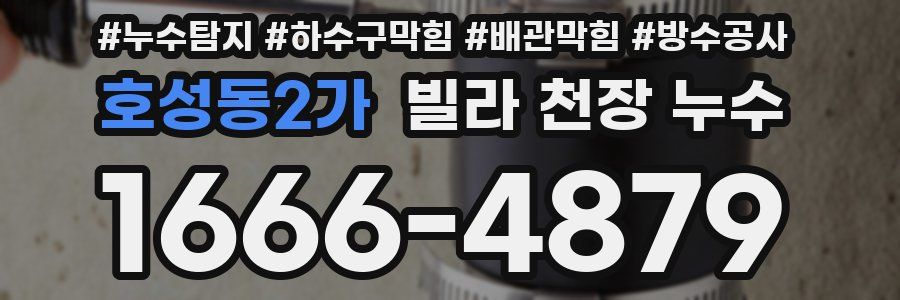 호성동2가 빌라 천장 누수