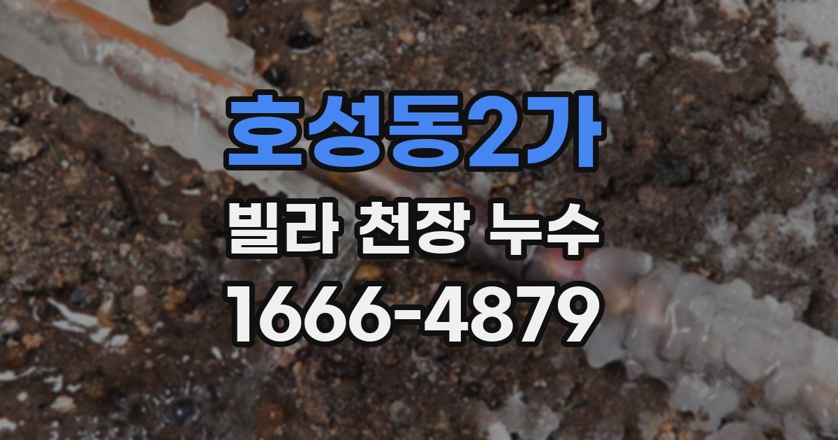 호성동2가 빌라 천장 누수