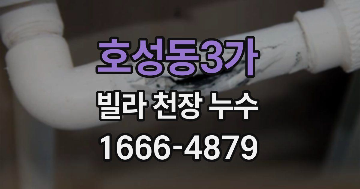호성동3가 빌라 천장 누수