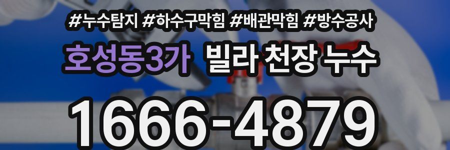 호성동3가 빌라 천장 누수