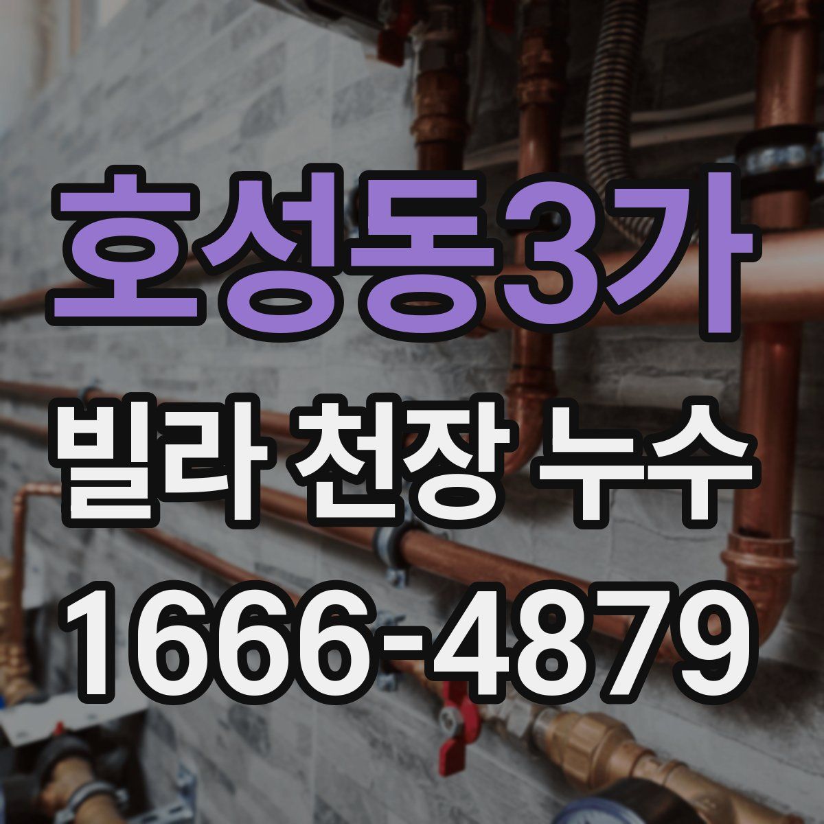 호성동3가 빌라 천장 누수