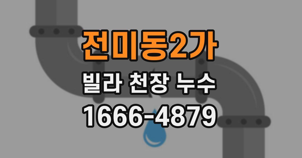 전미동2가 빌라 천장 누수
