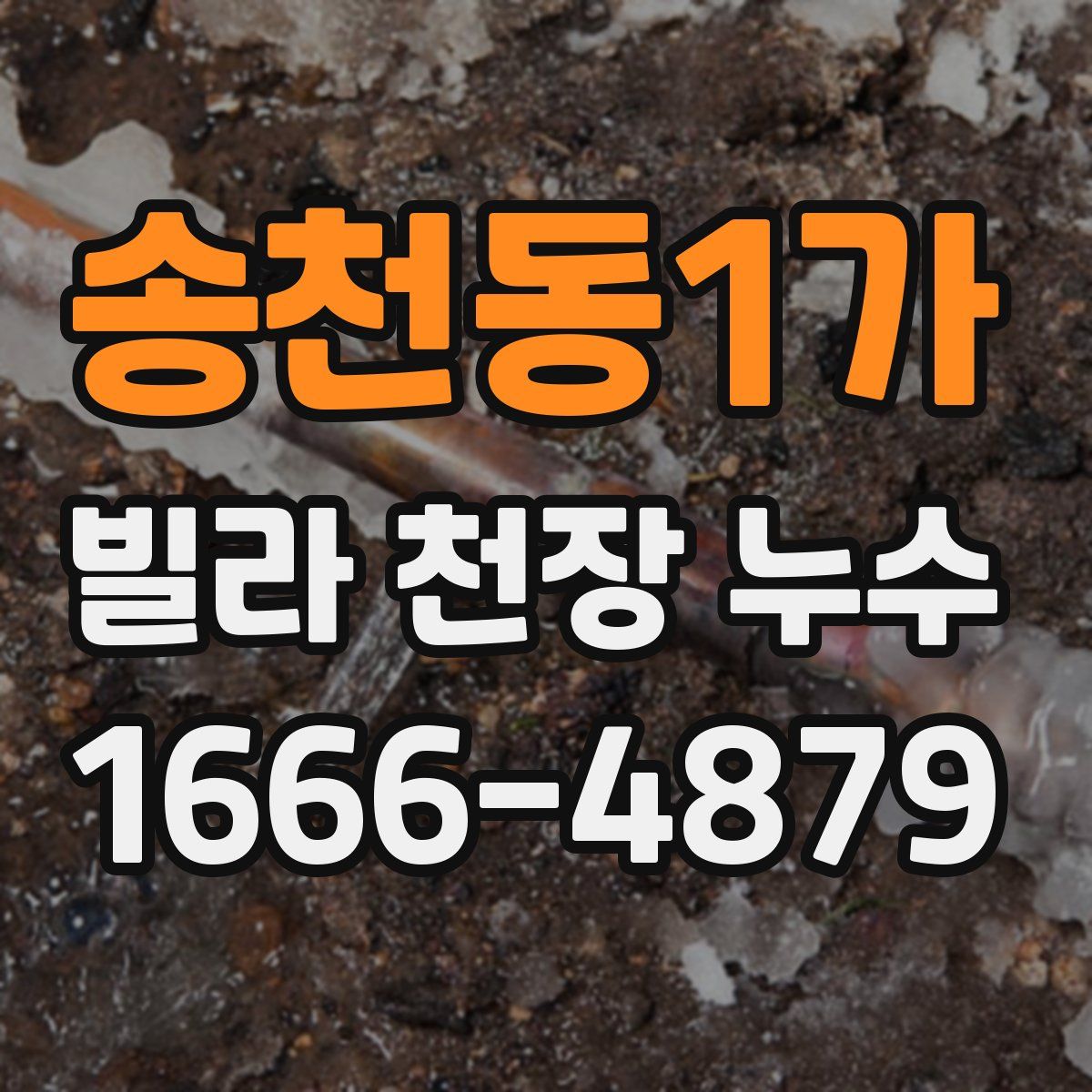 송천동1가 빌라 천장 누수