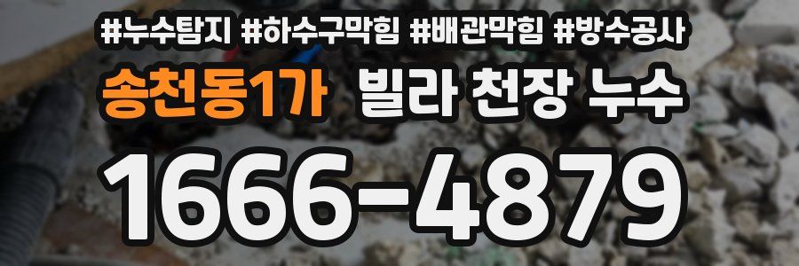 송천동1가 빌라 천장 누수