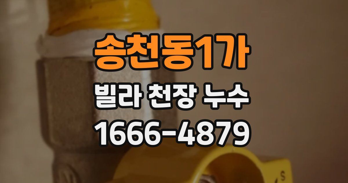 송천동1가 빌라 천장 누수
