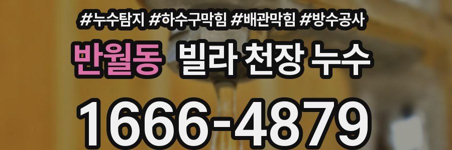 반월동 빌라 천장 누수