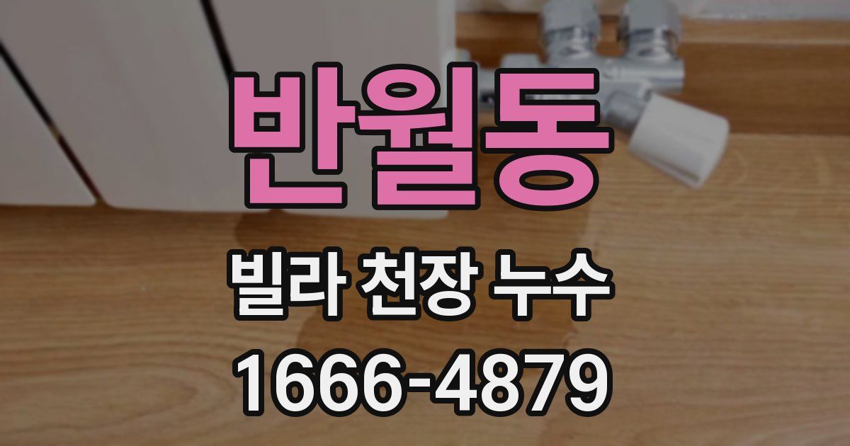 반월동 빌라 천장 누수