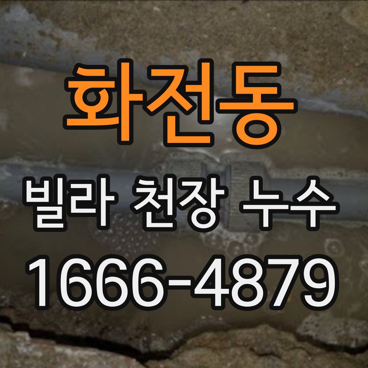 화전동 빌라 천장 누수