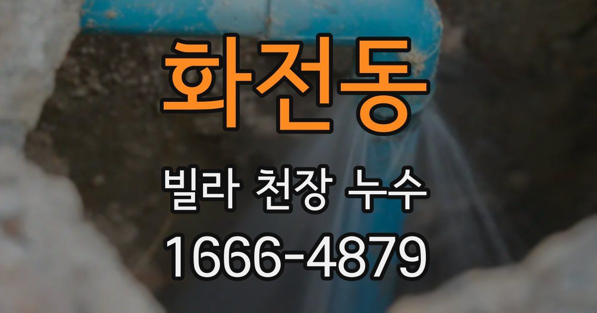 화전동 빌라 천장 누수