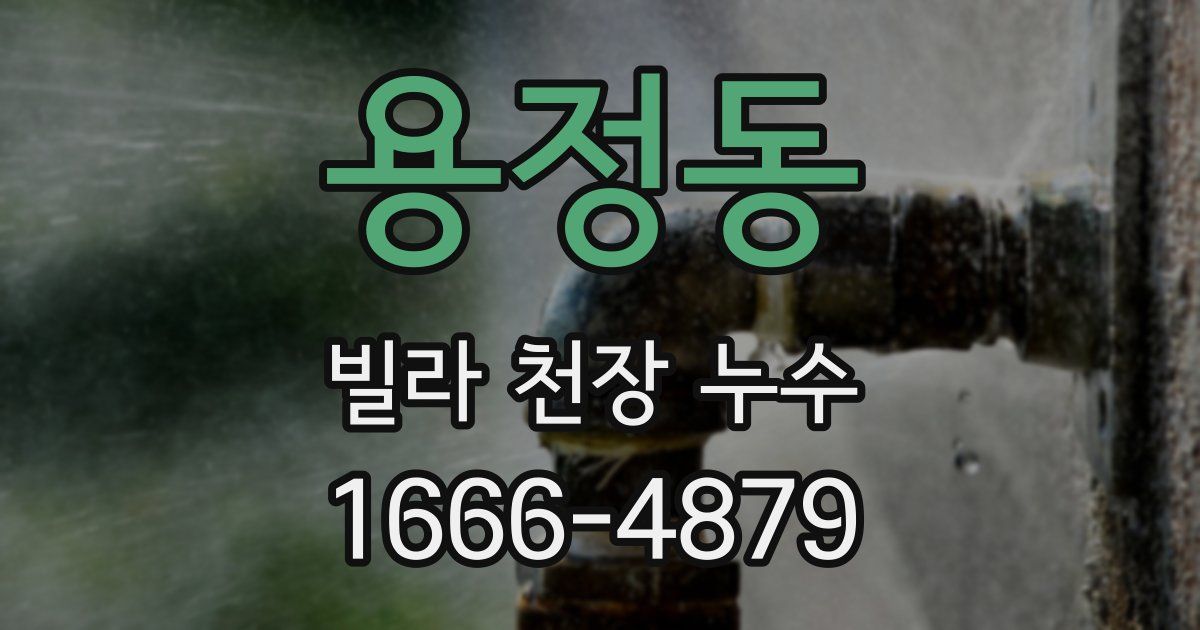 용정동 빌라 천장 누수