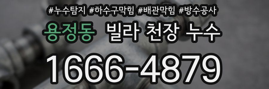 용정동 빌라 천장 누수