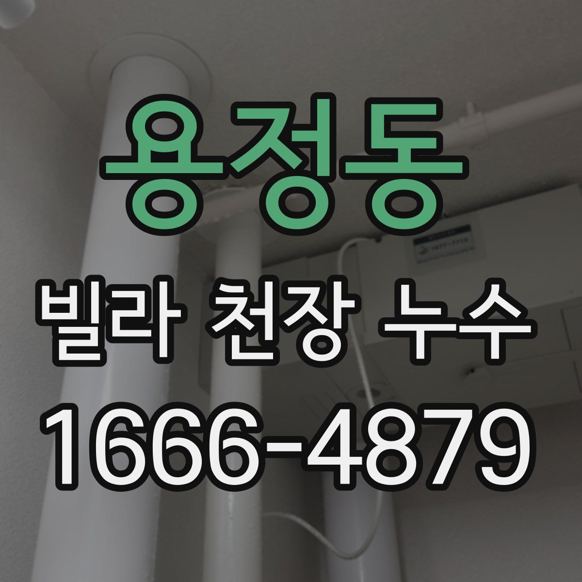용정동 빌라 천장 누수