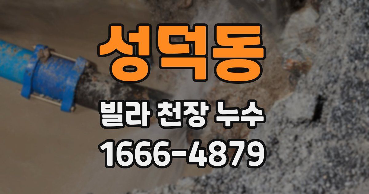 성덕동 빌라 천장 누수