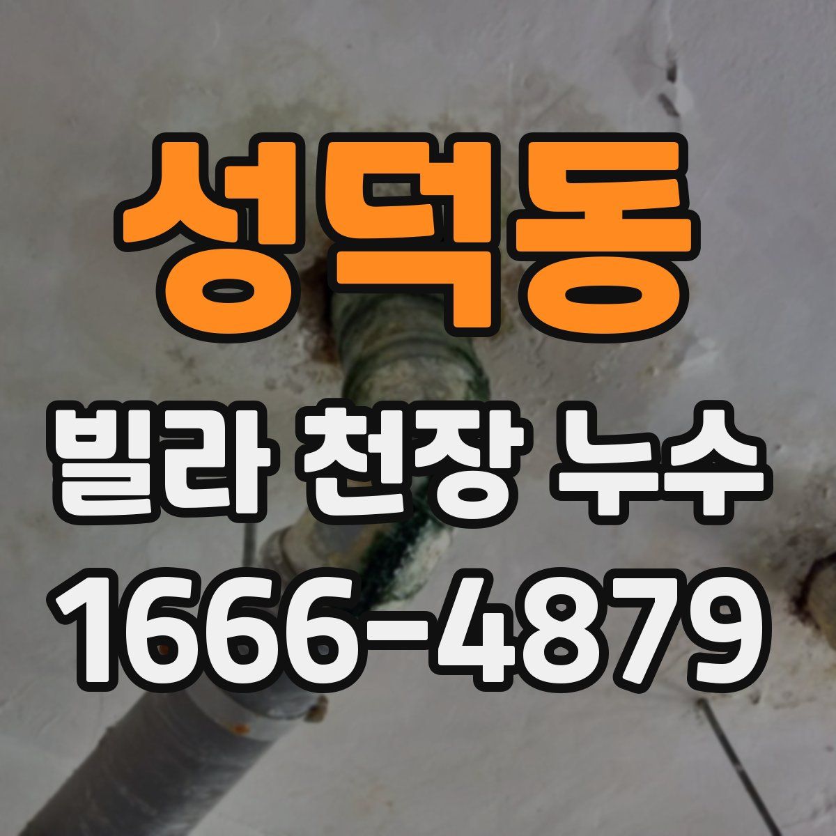 성덕동 빌라 천장 누수