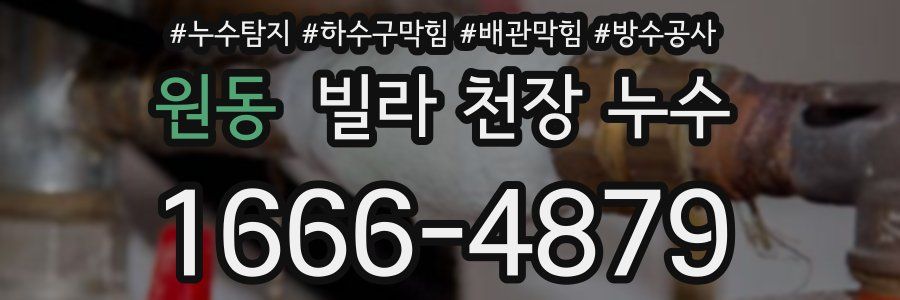 원동 빌라 천장 누수
