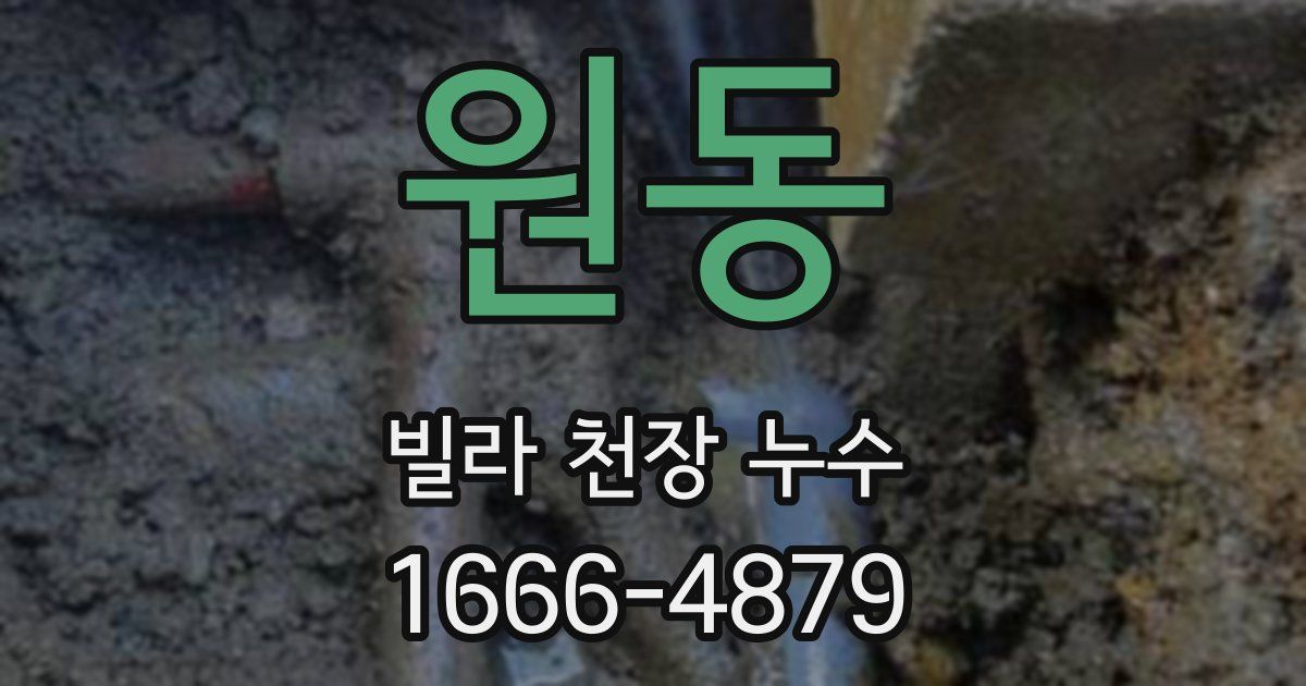 원동 빌라 천장 누수