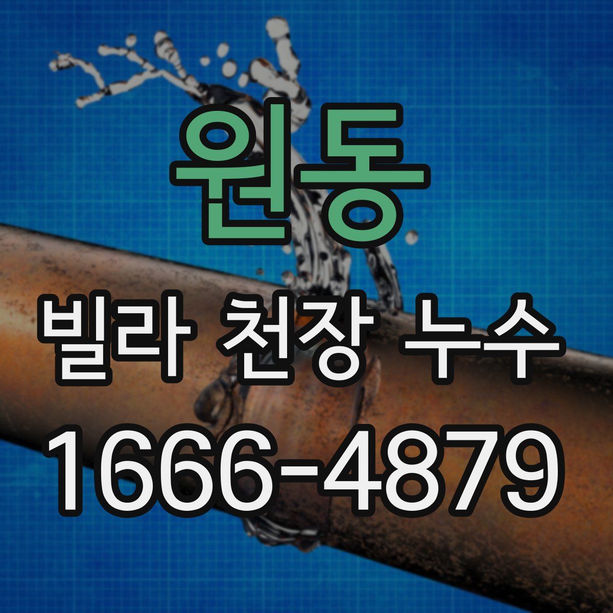 원동 빌라 천장 누수