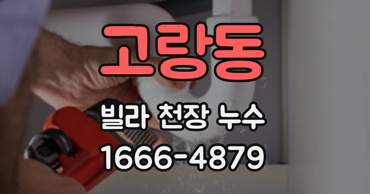 고랑동 빌라 천장 누수