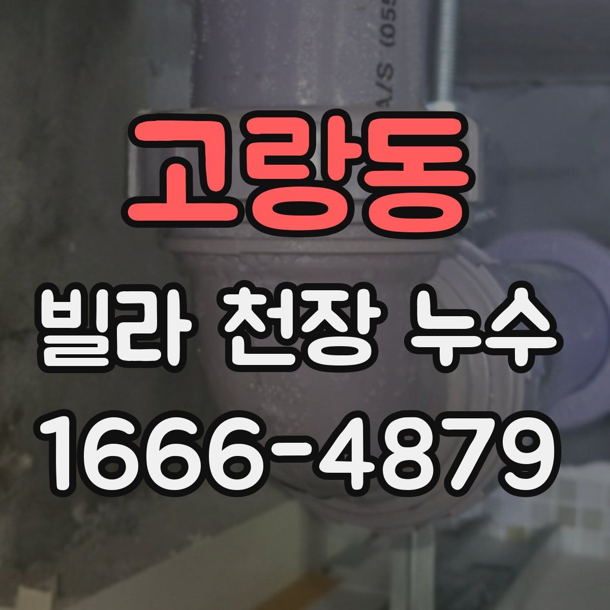 고랑동 빌라 천장 누수