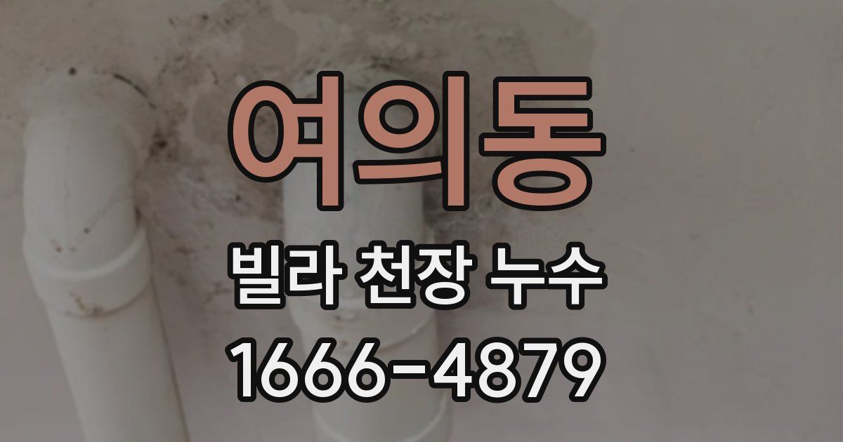여의동 빌라 천장 누수