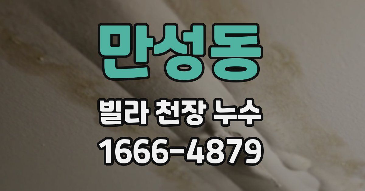 만성동 빌라 천장 누수