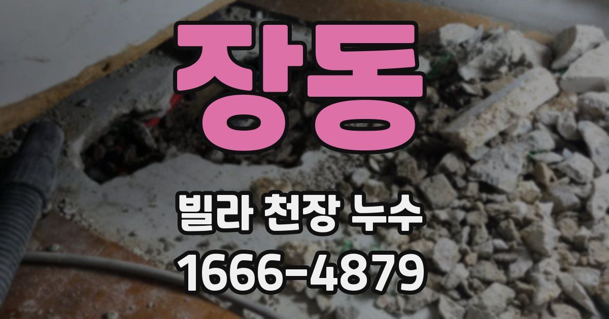 장동 빌라 천장 누수