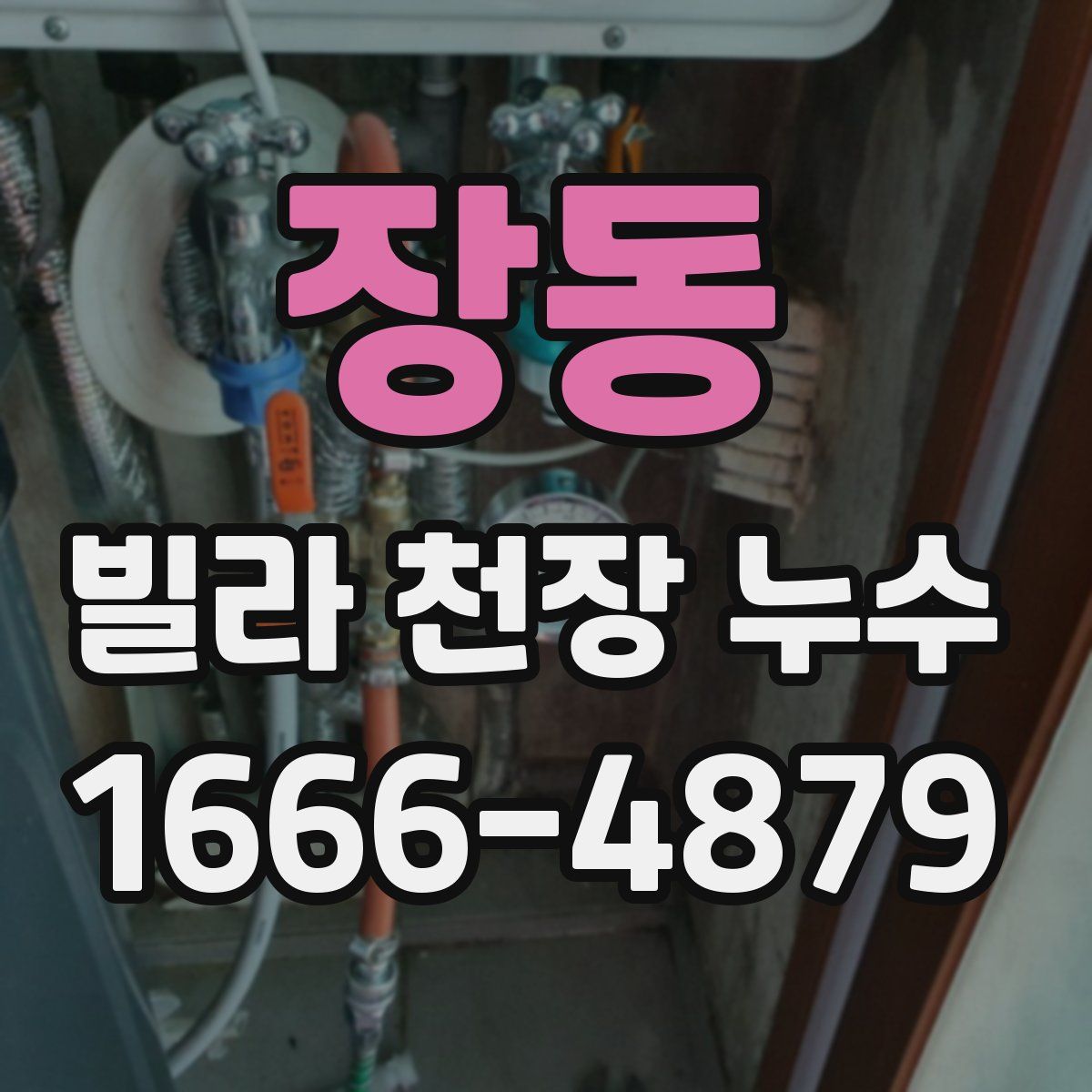 장동 빌라 천장 누수