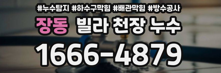 장동 빌라 천장 누수
