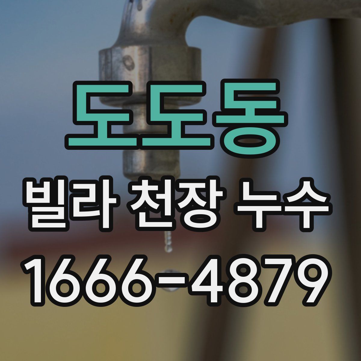 도도동 빌라 천장 누수