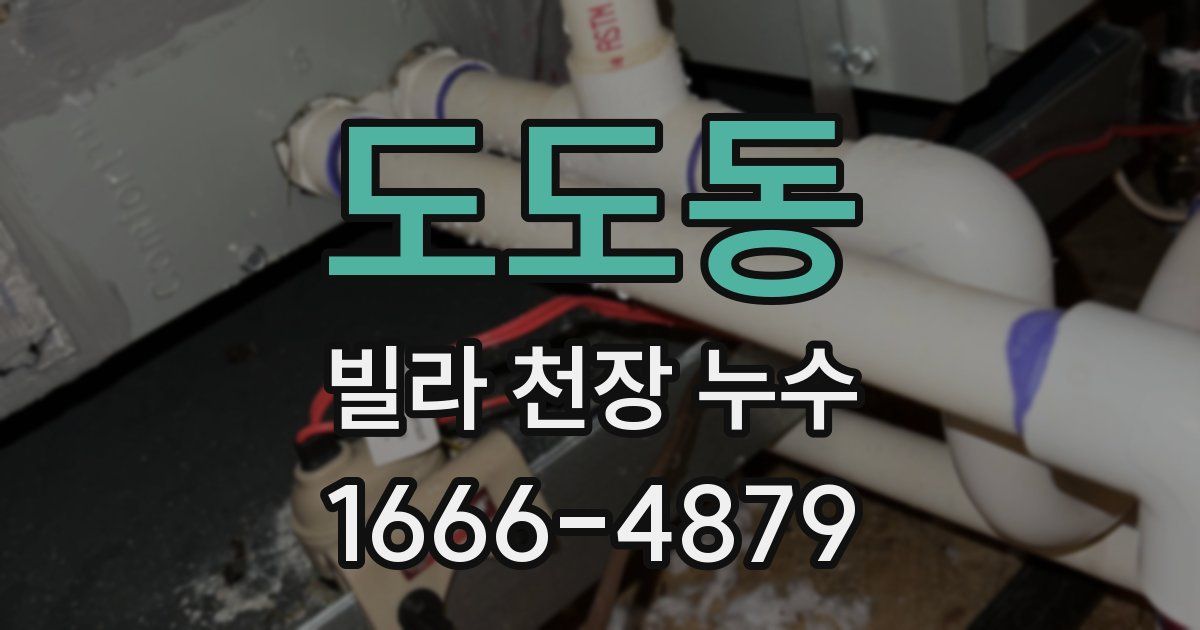 도도동 빌라 천장 누수