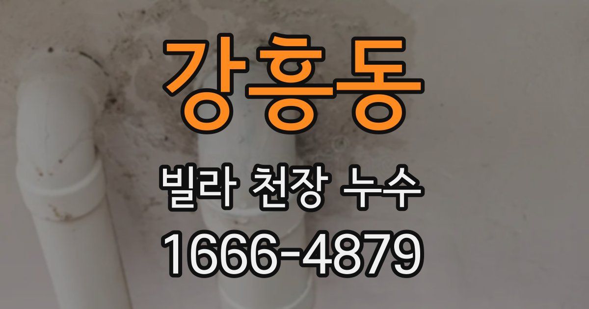 강흥동 빌라 천장 누수